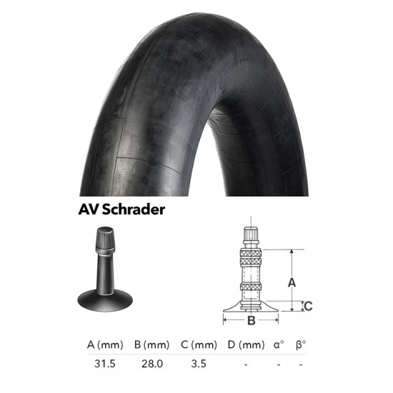 22x1 3/8 Kenda AV Schrader